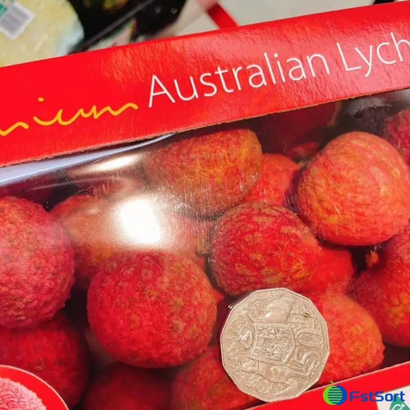 lychee grader1.jpg lychee grader1.jpg